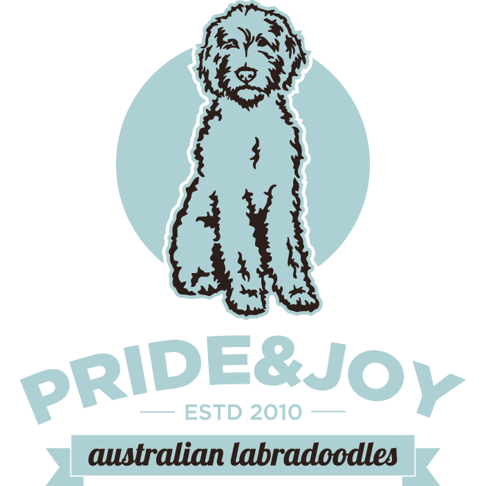 Pride and Joy Australian Labradoodles